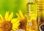 Sunflower-Oil-Article-Img